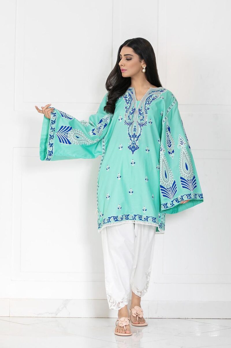 shk-759-Pakistani Designer Salwar Kameez