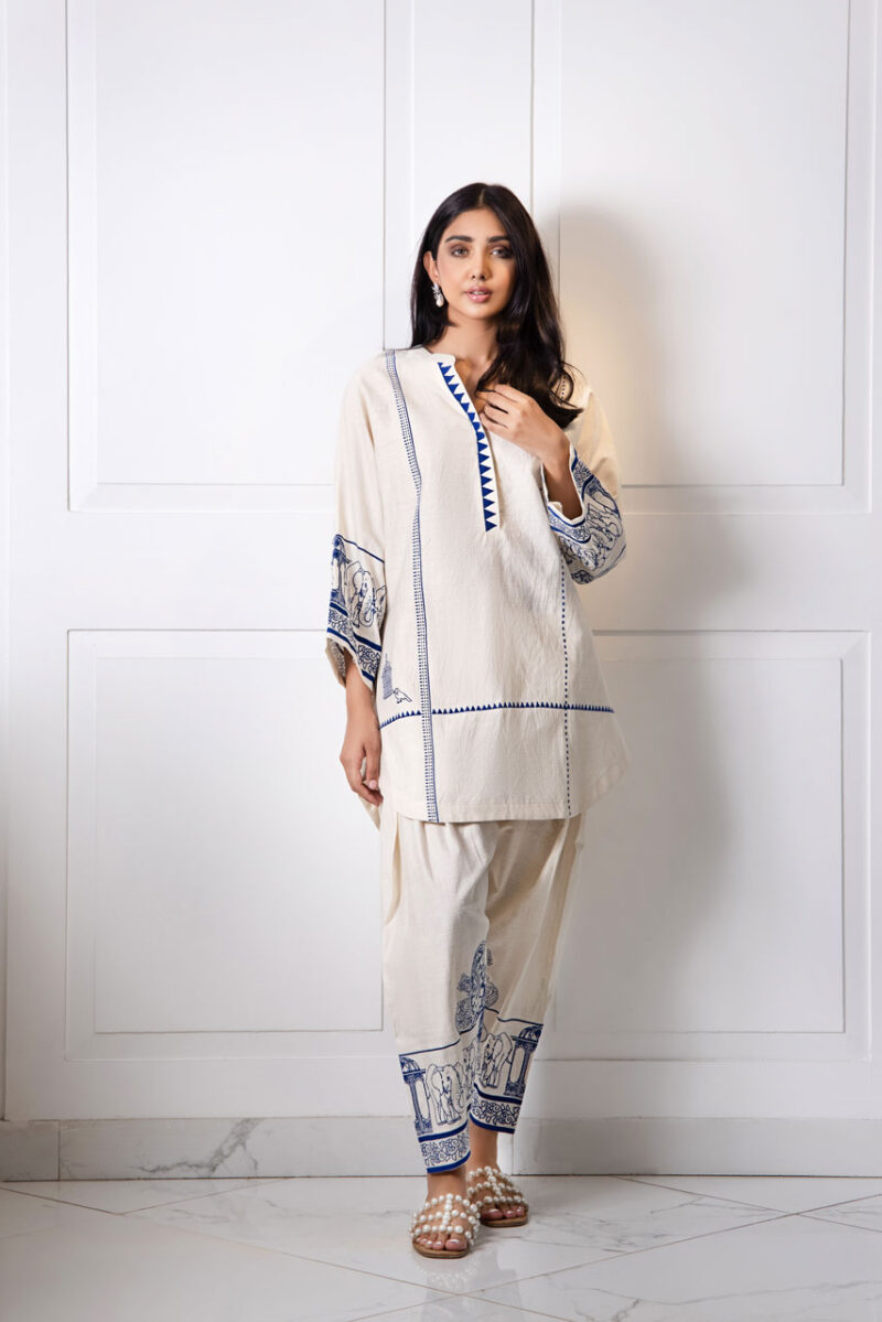 Shop Pakistani Dresses Party Wear And Casual-shk-899