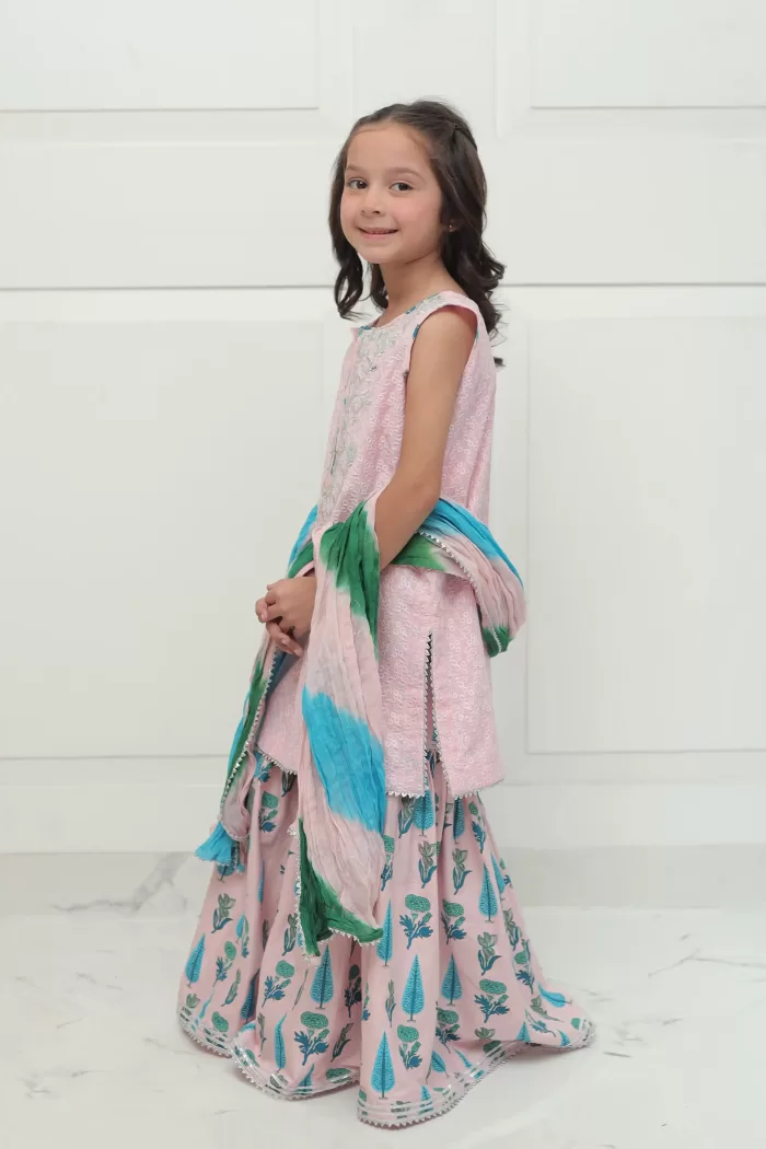 pakistani kids clothes in uk & usa-SHKK-979