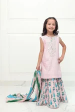 pakistani kids clothes in uk & usa-SHKK-979