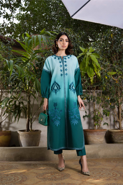 pakistani fancy dresses with prices-shk-1063