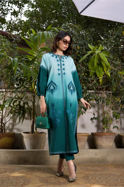 pakistani fancy dresses with prices-shk-1063