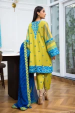 designer dresses online shopping in pakistan