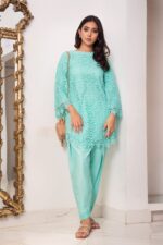 SHK- 1127 - Pakistani clothes Free Shipping USA