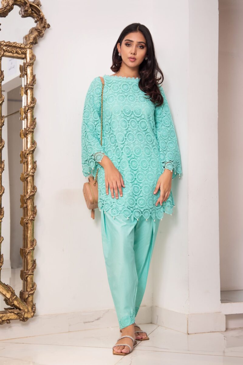 SHK- 1127 - Pakistani clothes Free Shipping USA