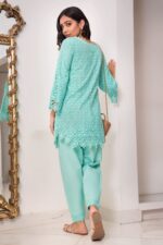 SHK- 1127 - Pakistani clothes Free Shipping USA