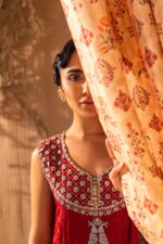 pakistani wedding dresses with prices