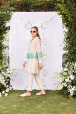 Pakistani Designers Dress Online - SHK-1250