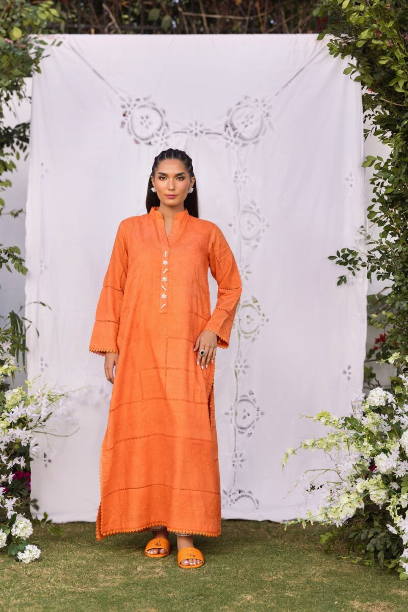 Ladies 2 piece stitched suit online pakistan - SHK-1258
