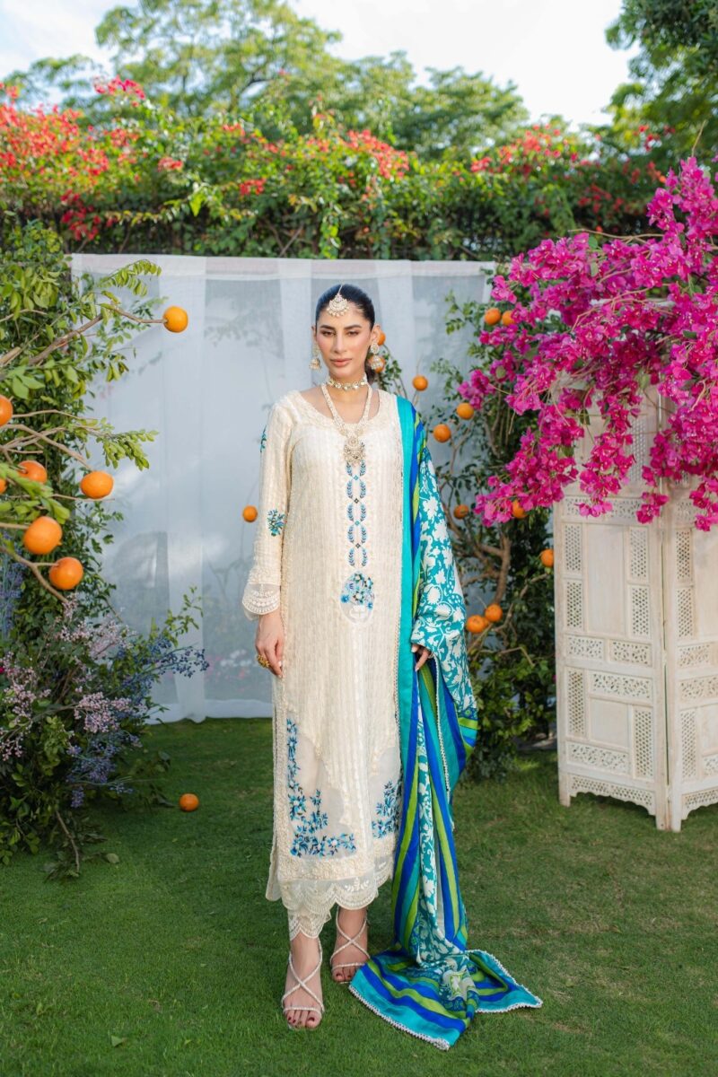 order long shirts for ladies pakistan - SHK-1266