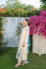 order long shirts for ladies pakistan - SHK-1266