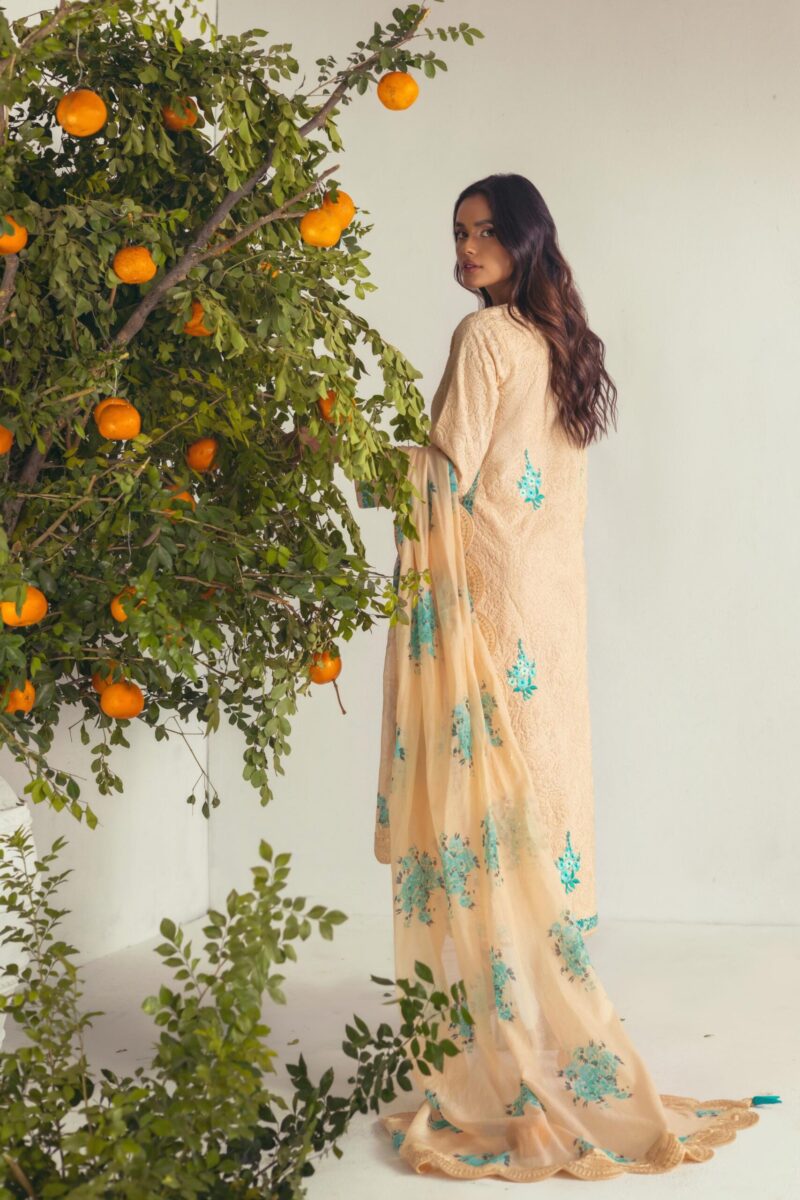 Designer Pakistani Eid Dresses & Suits USA - SHK-1273
