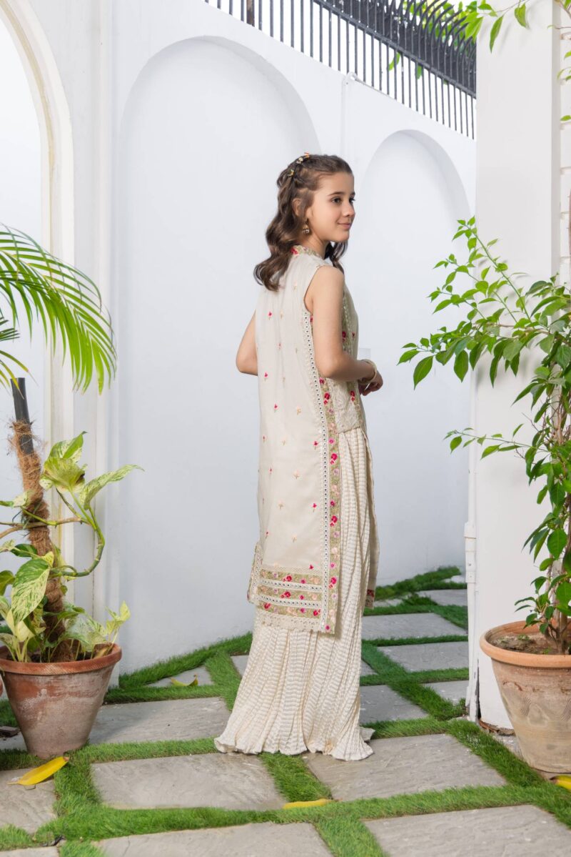 Best online stores for Pakistani dresses