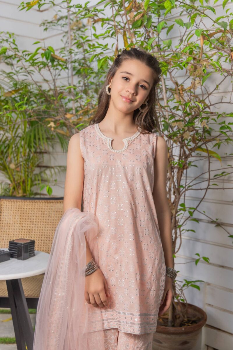 Pakistani gharara prices online