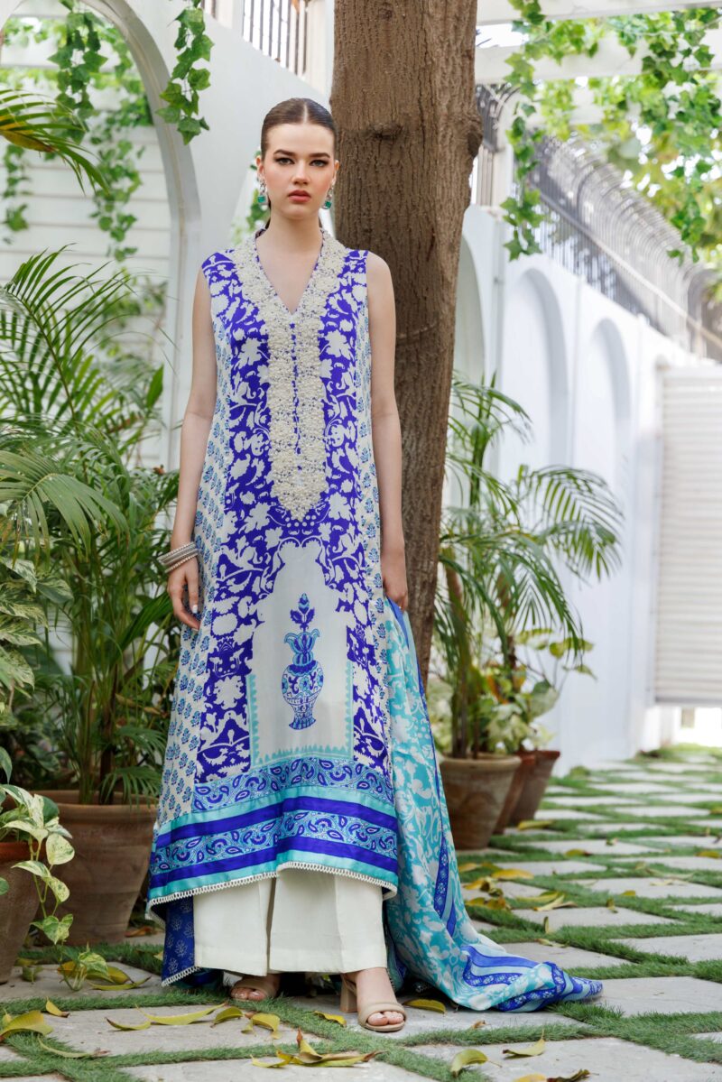 Pakistani ladies dress online shopping