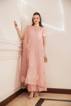 Shop Top Pakistani Designer Dresses Online