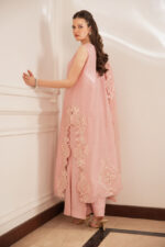 Shop Top Pakistani Designer Dresses Online