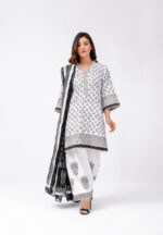 Pakistani traditional dress female