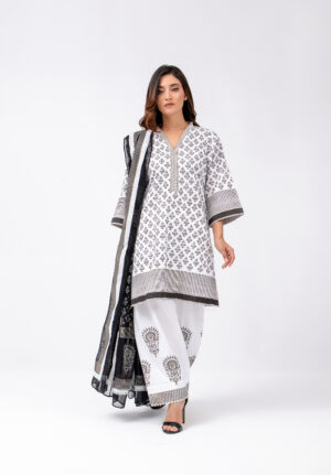 Pakistani traditional dress female