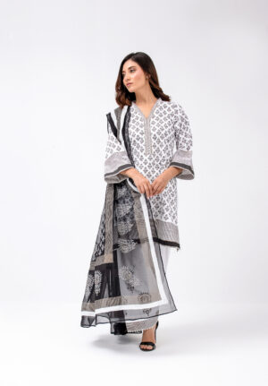 Pakistani traditional dress female