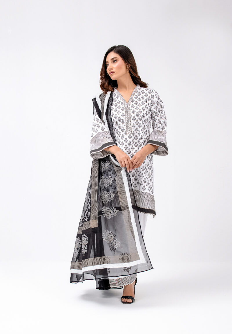 Pakistani traditional dress female