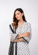 Pakistani traditional dress female