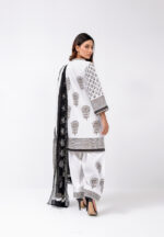 Pakistani traditional dress female