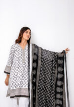 Pakistani traditional dress female