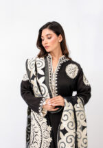 black Pakistani dress