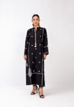 Pakistani long dress