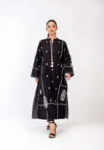 Pakistani long dress