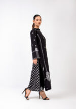 Pakistani long dress