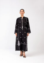 Pakistani long dress
