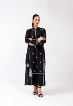 Pakistani long dress