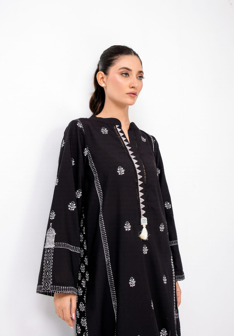 Pakistani long dress