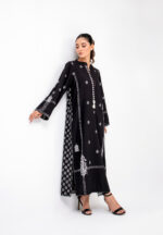Pakistani long dress