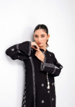 Pakistani long dress