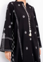 Pakistani long dress