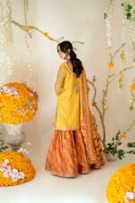 DSC00578 pakistani designer suits uk online