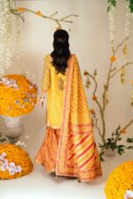 DSC00583 pakistani designer suits uk online