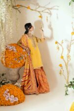 DSC00597 pakistani designer suits uk online