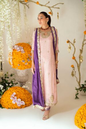 Designer Leni Blush Anarkali Set