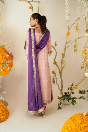 Designer Leni Blush Anarkali Set