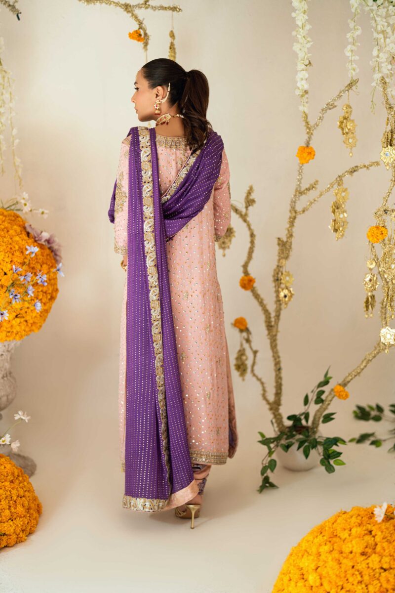 Designer Leni Blush Anarkali Set