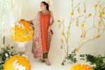 DSC01078 Branded Pakistani Clothes USA