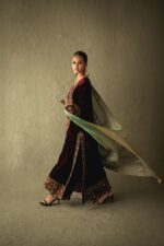 DSC00071 Designer Velvet Pakistani Collection