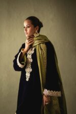 Pakistani Designer Velvet Collection