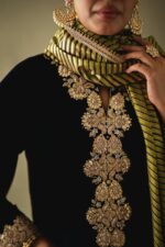 Pakistani Designer Velvet Collection