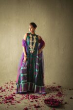 Pakistani Designer Winter Collection
