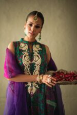 Pakistani Designer Winter Collection